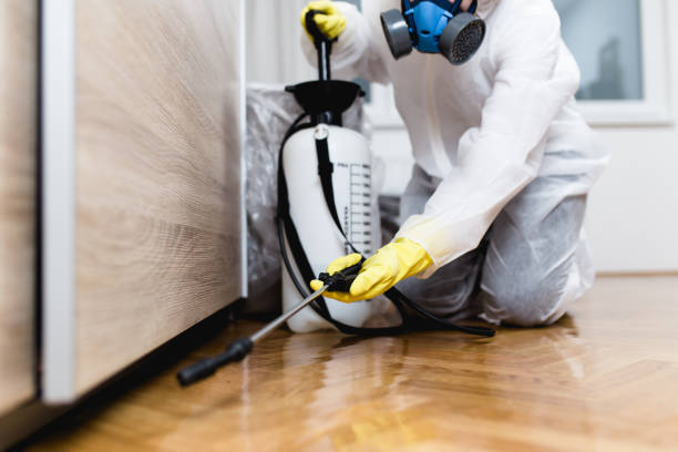 Best Emergency Pest Control  in Dowagiac, MI