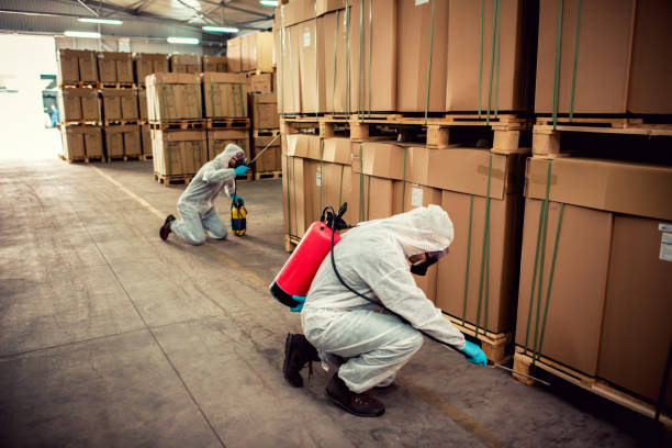 Best Best Pest Control Companies  in Dowagiac, MI