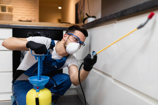 Best Mosquito Control Services  in Dowagiac, MI