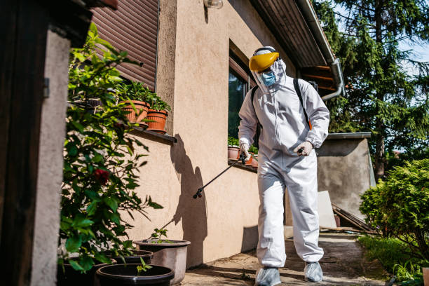 Best Residential Pest Control  in Dowagiac, MI