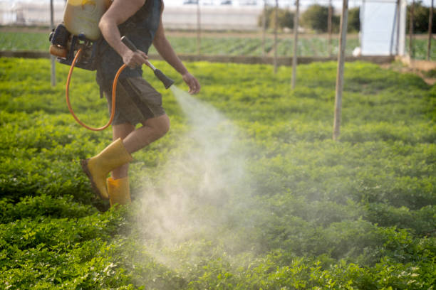 Best Pest Control Near Me in Dowagiac, MI