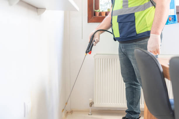 Best Local Pest Control Services  in Dowagiac, MI