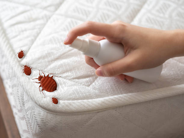 Reliable Dowagiac, MI Pest Control Solutions