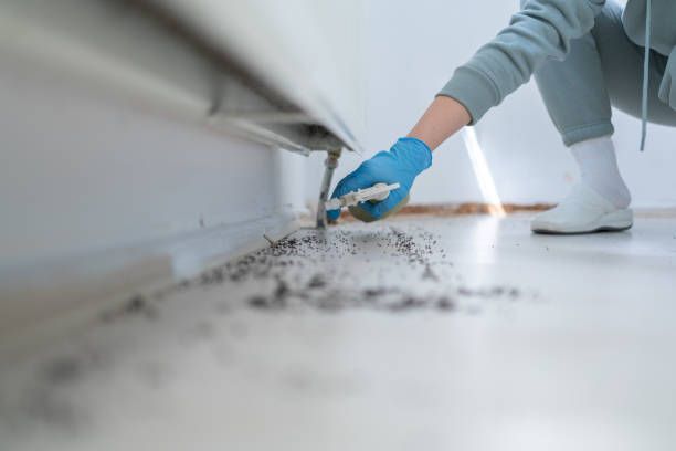 Best Rat Extermination Near Me  in Dowagiac, MI